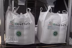 Un cargamento de arroz Japonica certificado como “Arroz Verde Vietnamita de Bajas Emisiones” exportado a Japón (Foto: VNA)