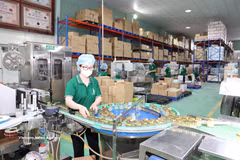 Una línea de fabricación de productos de nidos de salangana en la provincia de Khanh Hoa. (Foto: VNA)