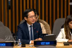 El embajador Do Hung Viet, jefe de la misión de Vietnam ante la ONU, interviene en la cita. (Foto: VNA)