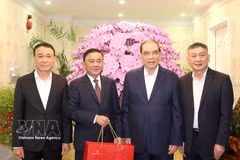 El miembro del Buró Político y miembro permanente del Secretariado del Comité Central del Partido Comunista de Vietnam, Tran Cam Tu, visita al exsecretario general del Partido, Nong Duc Manh (Foto: VNA)