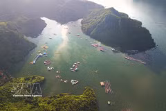 Con su majestuoso paisaje, el embalse hidroeléctrico de Hoa Binh se ha convertido en un destino imperdible para los turistas en la provincia de Phu Tho. (Foto: VNA)