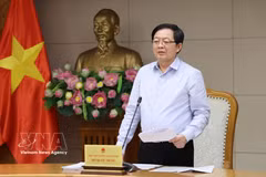 El viceprimer ministro vietnamita Ho Quoc Dung interviene en la cita (Foto: VNA)