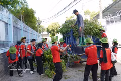 Estudiantes voluntarios malasios participan en la recolección de ramas de árboles en el barrio de Trung My Tay. (Foto: VNA)