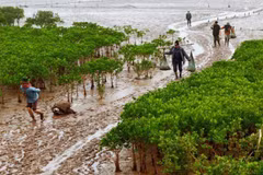 Vietnam vive en armonía con la naturaleza y el desarrollo sostenible