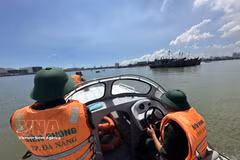 Las autoridades funcionales de Da Nang patrullan en el mar (Foto: VNA)