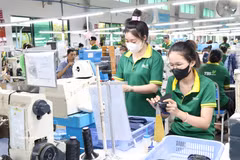 Trabajadores de la empresa de inversión y producción industrial Lefaso Tra Vinh en la comuna de Tra Cu, provincia de Vinh Long. (Foto: VNA)
