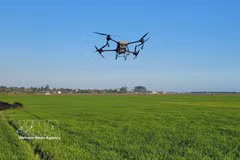 Utilización de drones para fumigar con pesticidas en los arrozales de An Nhut, comuna de Long Dien, Ciudad Ho Chi Minh. (Foto: VNA)