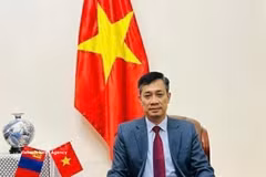 El embajador vietnamita en Mongolia, Nguyen Tuan Thanh. (Foto: VNA)