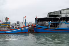 Los barcos pesqueros atracan en el puerto de Quy Nhon, en la provincia de Gia Lai. (Foto: VNA)