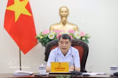 El primer ministro de Vietnam, Le Minh Hung, interviene en la cita. (Foto: VNA)
