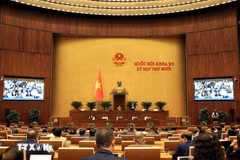Panorama de la sesión (Foto: VNA)