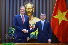 El primer ministro vietnamita, Le Minh Hung (derecha), recibe al embajador de Francia, Olivier Brochet. (Foto: VNA)