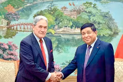 El viceprimer ministro Nguyen Chi Dung (derecha) recibe al ministro de Asuntos Exteriores de Nueva Zelanda, Winston Peters (Foto: baochinhphu.vn)