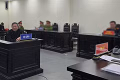 Tran Dinh Trien en un juicio (Foto: VNA)