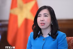 La viceministra de Relaciones Exteriores de Vietnam, Le Thi Thu Hang (Foto: VNA)
