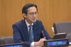 El embajador Do Hung Viet, jefe de la misión permanente de Vietnam ante la ONU, interviene en la sesión (Foto: VNA)