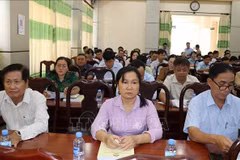 Segunda conferencia consultiva en la provincia de Dong Thap (Foto: VNA)