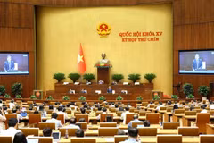 Panorama de la sesión (Foto: VNA)