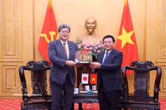 El presidente del Consejo Teórico Central del PCV, Nguyen Xuan Thang (derecha), entrega un obsequio al secretario general interino del PLD, Koichi Hagiuda. (Foto: VNA)