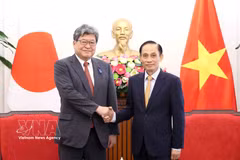 El miembro del Buró Político del PCV y ministro de Relaciones Exteriores de Vietnam, Le Hoai Trung (derecha), y el secretario general interino del PLD, Hagiuda Koichi. (Foto: VNA)