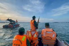 Los guardias fronterizos de Da Nang realizan patrullas en el mar (Foto: VNA)