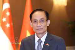 El ministro de Relaciones Exteriores de Vietnam, Le Hoai Trung. (Foto: VNA)