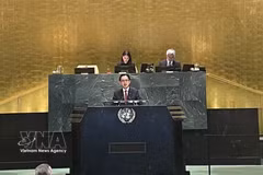 El embajador Do Hung Viet, jefe de la misión permanente de Vietnam ante la ONU, interviene en la sesión. (Foto: VNA)