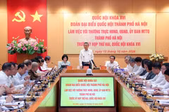 Panorama de la cita. (Foto: VNA)