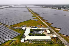 La central solar Trung Nam Tra Vinh, en la provincia de Tra Vinh, proporciona aproximadamente 250 millones de kilovatios hora de electricidad al año. (Foto: VNA)