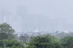Foto de ilustración (Fuente: https://www.mae.gov.vn/)