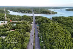 La zona forestal protegida de Can Gio abarca las comunas de Can Gio, Binh Khanh, An Thoi Dong y Thanh An, lo que crea un potencial significativo para el desarrollo del mercado de créditos de carbono. (Foto: VNA)