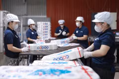 Una empresa papelera vietnamita estandariza sus procesos de exportación a Estados Unidos (VNA).