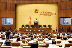 Panorama de la cita (Foto: VNA)