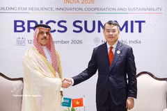 El primer ministro Le Minh Hung recibe al ministro de Asuntos Exteriores de Arabia Saudita, el príncipe Faisal bin Farhan Al Saud. (Foto: VNA)