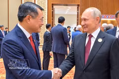 El primer ministro vietnamita, Le Minh Hung, saluda al presidente de Rusia, Vladimir Putin. (Foto: VNA)
