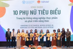 Mujeres vietnamitas homenajeadas por la FAO en la ceremonia. (Foto: nongthonviet.vn)