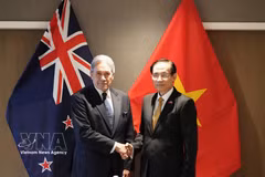 El ministro de Relaciones Exteriores de Vietnam, Le Hoai Trung (derecha), se reúne con su homólogo neozelandés, Winston Peters. (Foto: VNA)