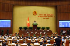 Una sesión de la primera reunión extraordinaria de la Asamblea Nacional de Vietnam de la XVI Legislatura. (Foto: VNA)