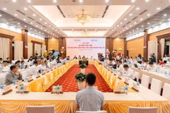 Panorama de la cita (Foto: VietnamPlus)