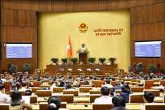 Panorama de la sesión (Foto: VNA)