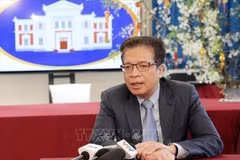 El embajador de Vietnam en Rusia, concurrente en Uzbekistán y Armenia, Dang Minh Khoi (Foto: VNA)