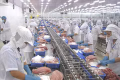 Procesamiento de productos acuáticos para la exportación. (Foto: Vietnam+)