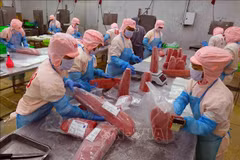 Productos de atún para exportación en una fábrica de la empresa Ba Hai, en la provincia de Phu Yen (Foto: VNA)