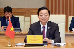 El viceprimer ministro vietnamita Tran Hong Ha (Foto: https://baochinhphu.vn/)