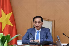 El viceprimer ministro vietnamita Bui Thanh Son (Foto: VNA)