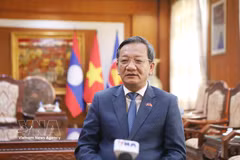 El embajador de Vietnam en Laos, Nguyen Minh Tam, en la entrevista (Foto: VNA)