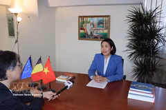 La embajadora de Vietnam en Bélgica y jefa de su misión ante la UE, Nguyen Huong Tra, en la entrevista. (Foto: VNA)