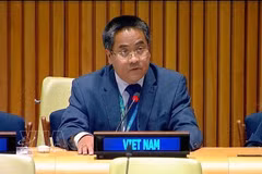 El ministro consejero Nguyen Hai Luu, subjefe de la misión permanente de Vietnam ante la ONU (Foto: VNA)