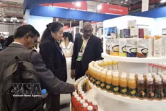 Compradores internacionales conocen los productos vietnamitas en VIS 2025. (Foto: VNA)