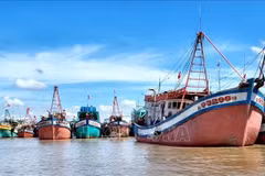 En el puerto pesquero de Ganh Hao, en Ca Mau (Foto: VNA)